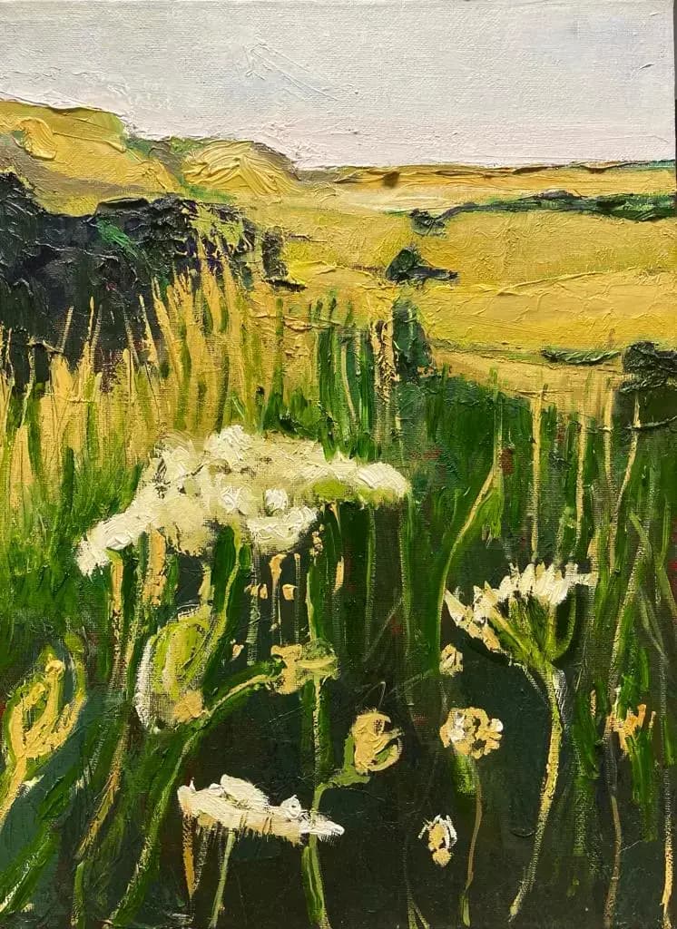 Cow Parsley