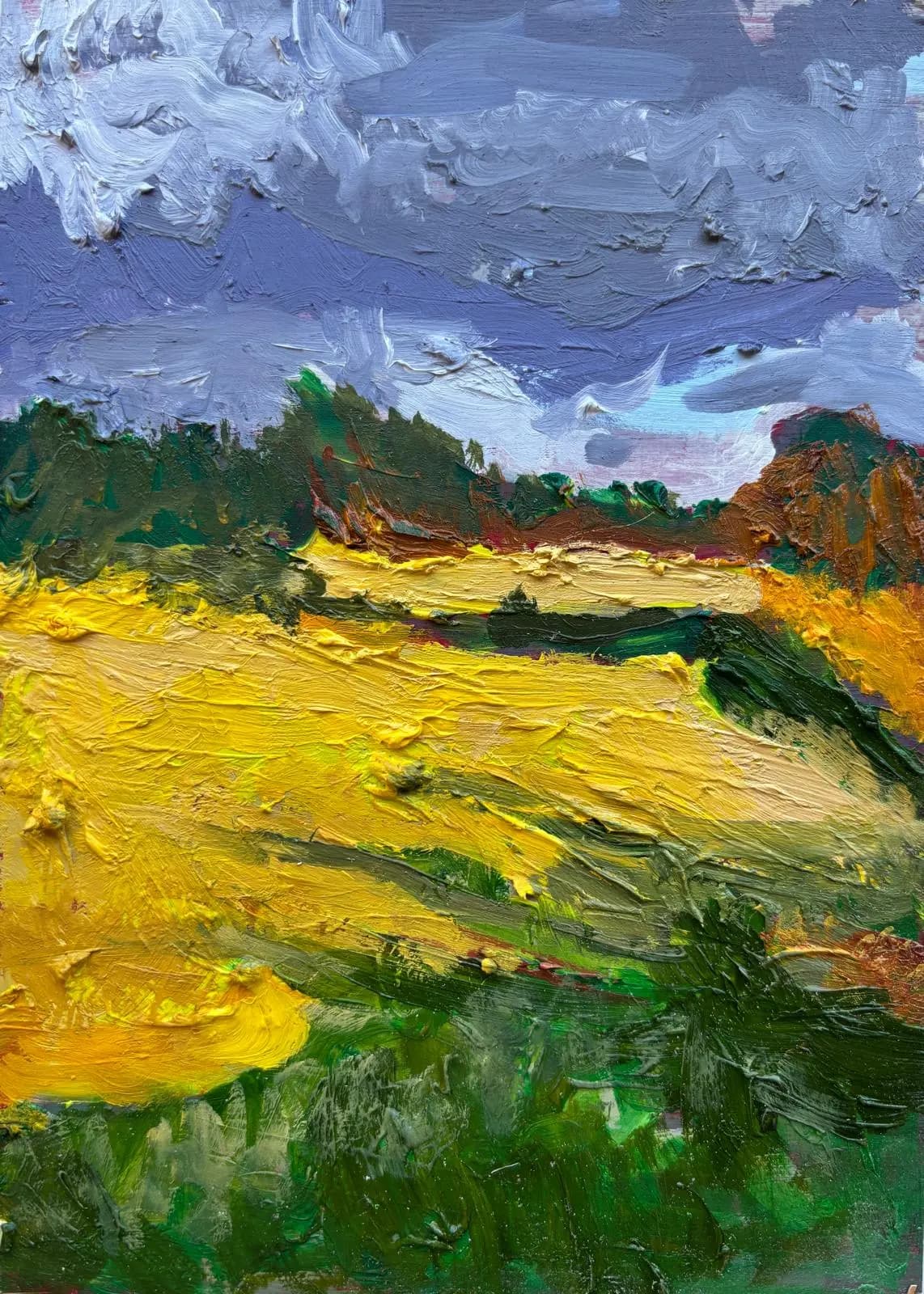 Irish Fields (Long Shadows)