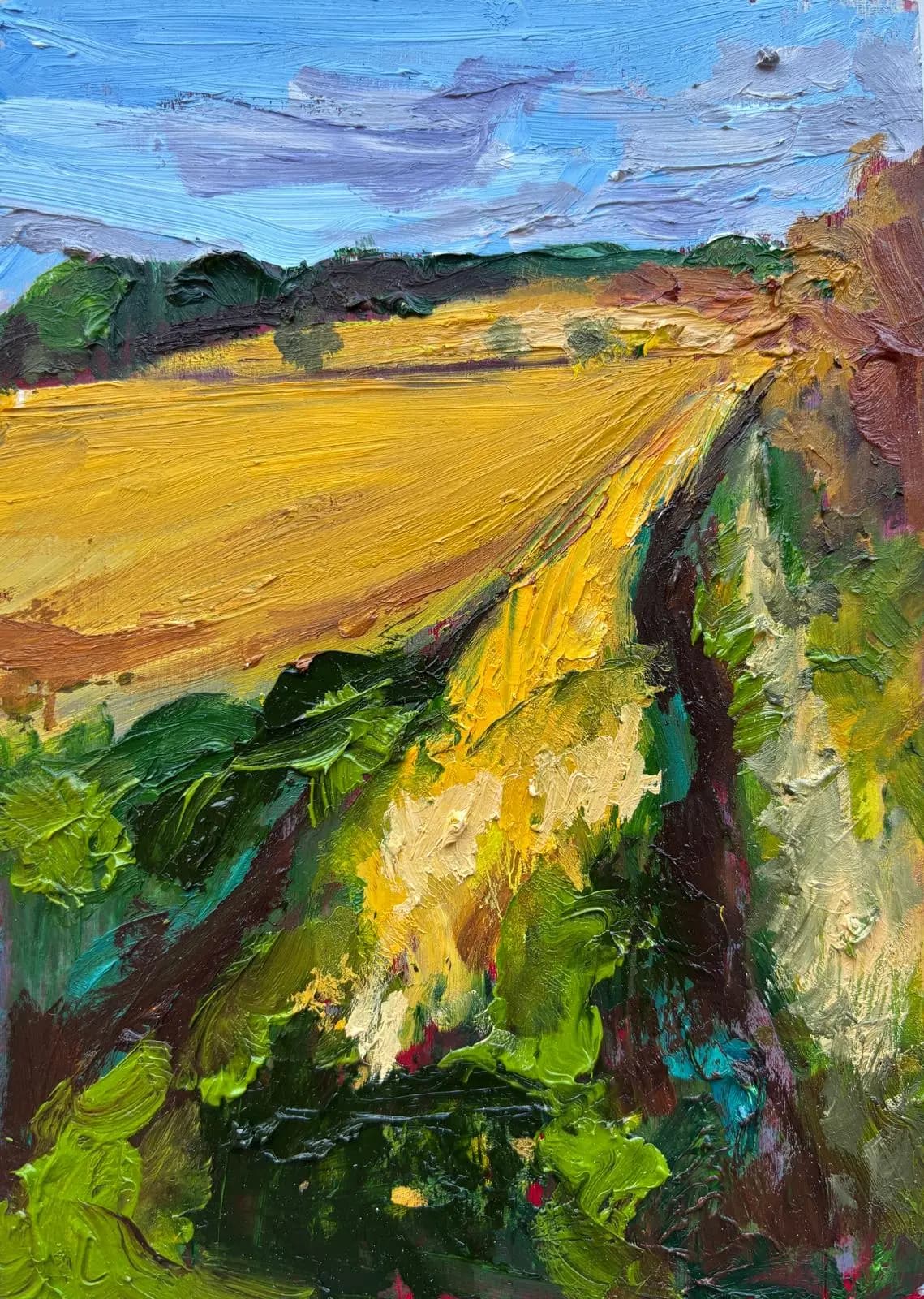 Irish Fields (Path)
