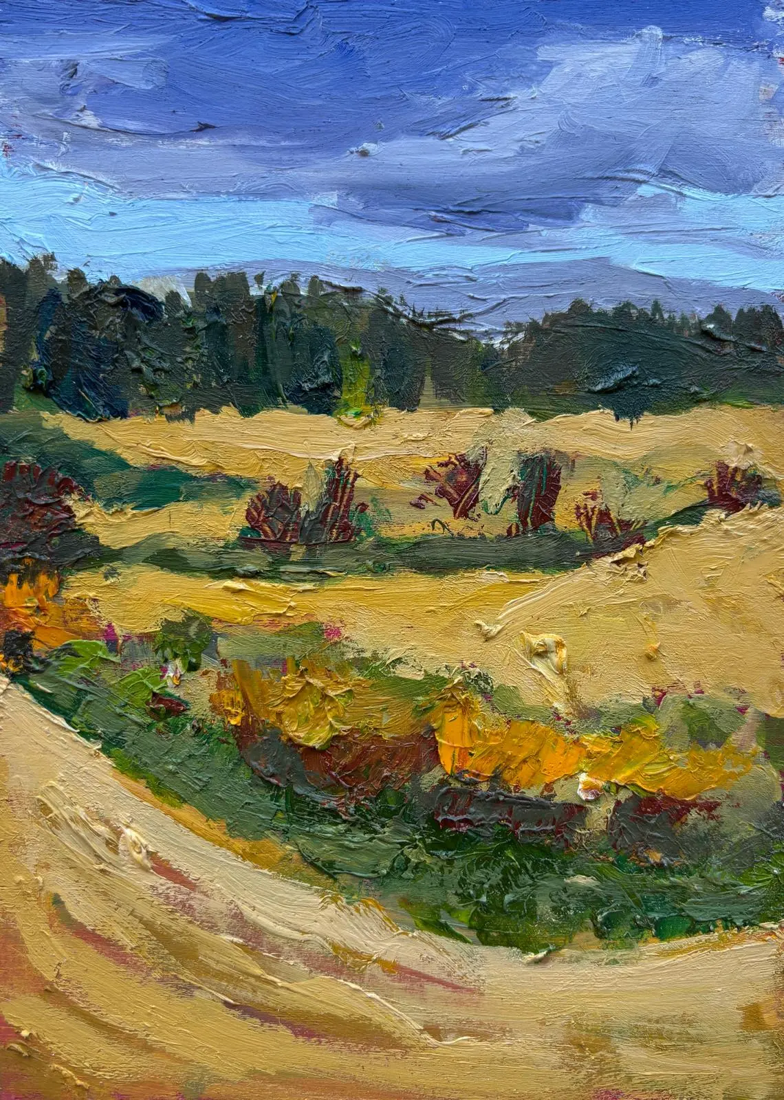 Irish Fields (Pine Forest)
